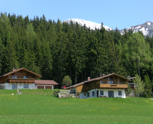 Urlaub im Apartment Ferienhaus Astrid, Ramsau am Dachstein